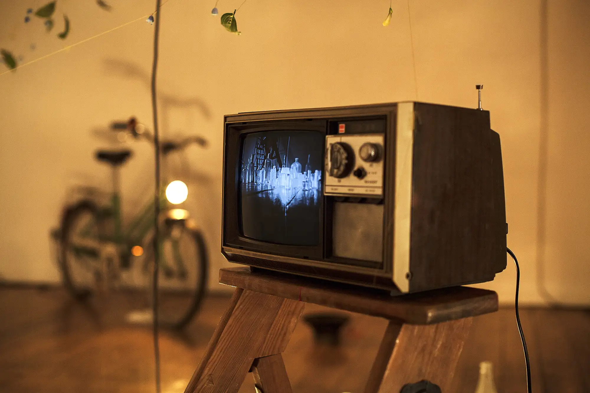 chasing little pasts_TWS detail